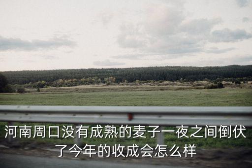 河南周口沒有成熟的麥子一夜之間倒伏了今年的收成會怎么樣