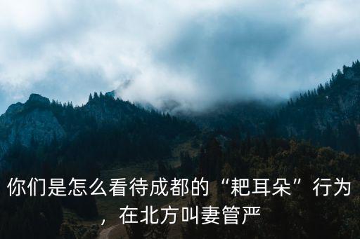 你們是怎么看待成都的“耙耳朵”行為，在北方叫妻管嚴
