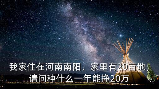 我家住在河南南陽，家里有20畝地，請問種什么一年能掙20萬
