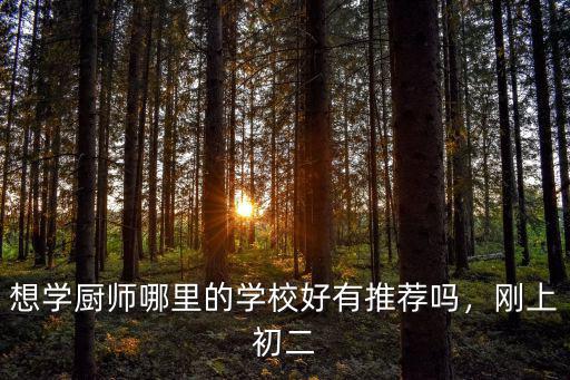 想學廚師哪里的學校好有推薦嗎，剛上初二