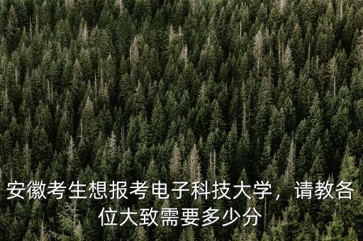 安徽考生想報考電子科技大學，請教各位大致需要多少分