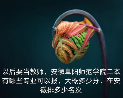 以后要當教師，安徽阜陽師范學院二本有哪些專業可以報，大概多少分，在安徽排多少名次