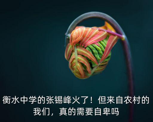 衡水的張錫峰多少分,衡水中學的張錫峰火了