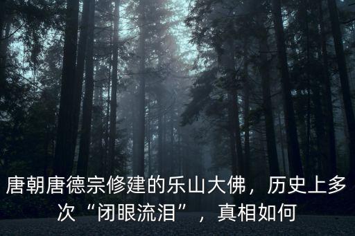 樂山大佛在哪里建,樂山大佛是怎樣建成的