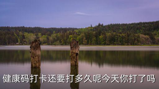 湖北微信健康碼怎么打不了,湖北健康碼打卡為什么取消了
