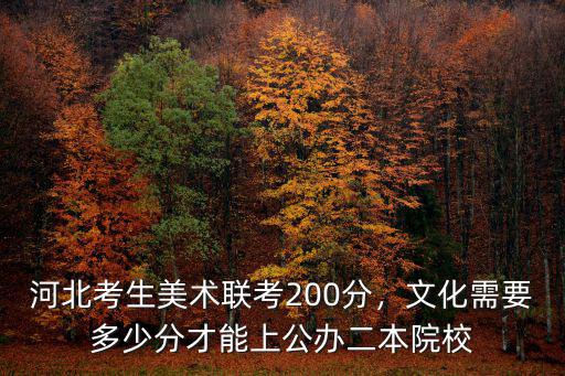 河北美院聯考多少能上,河北美術聯考249分