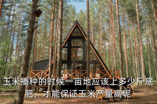 玉米播種的時候一畝地應該上多少斤底肥，才能保證玉米產量高呢