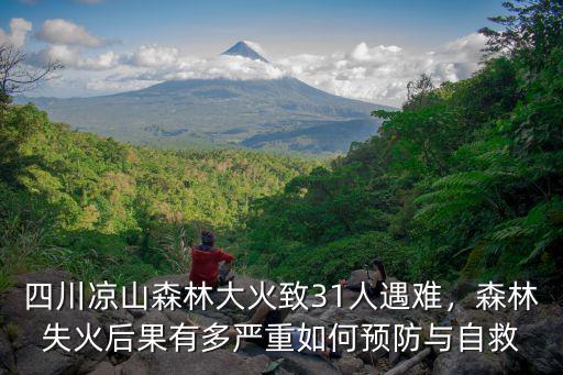 四川涼山森林大火致31人遇難，森林失火后果有多嚴重如何預防與自救