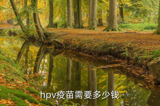 hpv疫苗需要多少錢