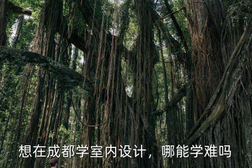 想在成都學(xué)室內(nèi)設(shè)計，哪能學(xué)難嗎