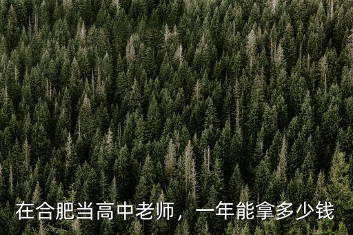 在合肥當高中老師，一年能拿多少錢