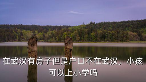 怎么樣能上武漢小學,小孩能在武漢上小學嗎