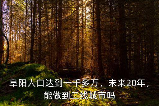 阜陽人口達到一千多萬，未來20年，能做到二線城市嗎