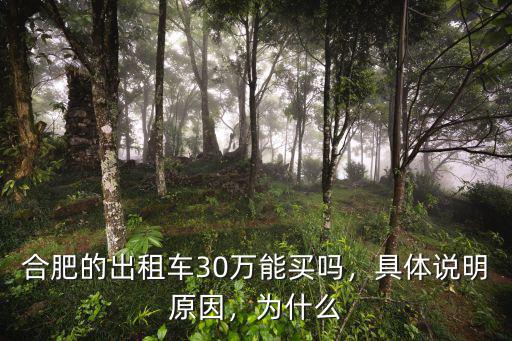 合肥出租車份子錢一個月多少,合肥的出租車30萬能買嗎