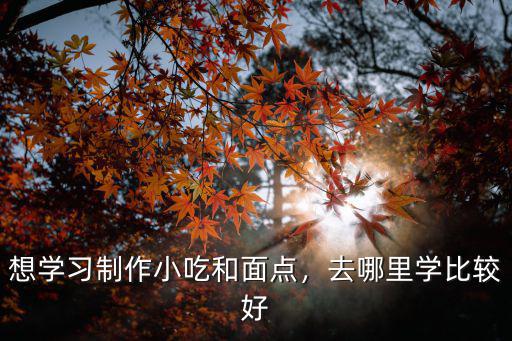 想學習制作小吃和面點，去哪里學比較好