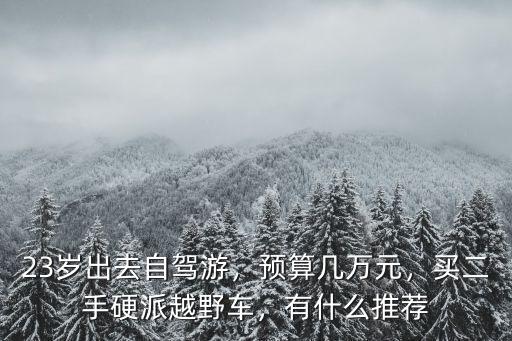 23歲出去自駕游，預(yù)算幾萬元，買二手硬派越野車，有什么推薦