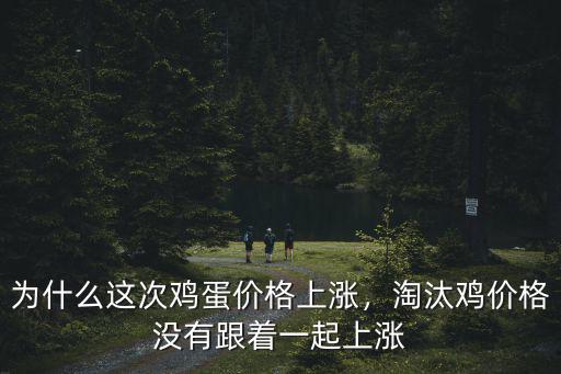 為什么這次雞蛋價格上漲，淘汰雞價格沒有跟著一起上漲