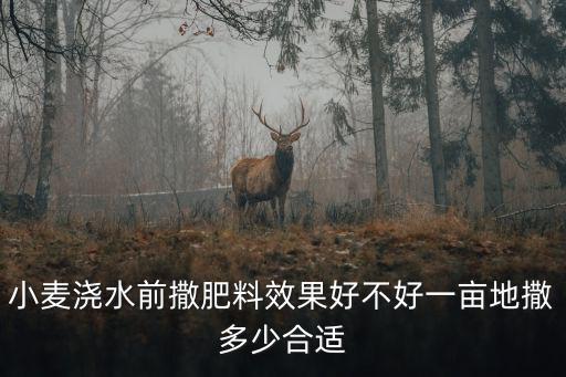 小麥澆水前撒肥料效果好不好一畝地撒多少合適
