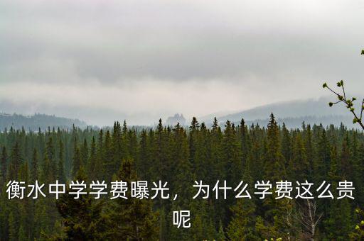 外省考進(jìn)衡水中學(xué)一個(gè)月學(xué)費(fèi)多少,衡水中學(xué)學(xué)費(fèi)曝光