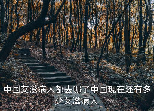 中國艾滋病人都去哪了中國現在還有多少艾滋病人