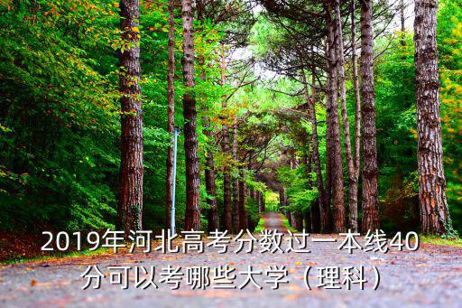 2019年河北高考分數過一本線40分可以考哪些大學（理科）
