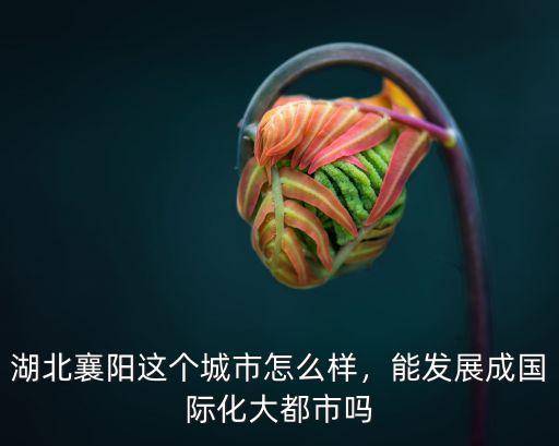 襄陽長江國際社區怎么樣,襄陽買房在襄城怎么樣