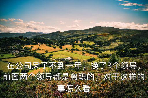 對于武漢市更換領導怎么看,對于這樣的事怎么看