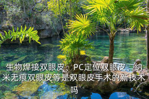 阜陽 生物焊接雙眼皮多少錢,PC定位雙眼皮
