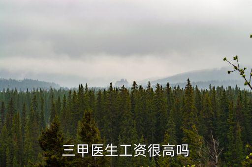三甲醫生工資很高嗎