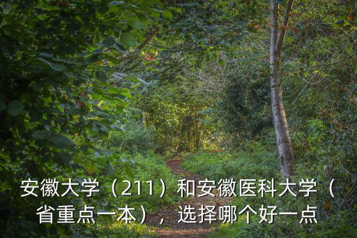 安徽大學(xué)（211）和安徽醫(yī)科大學(xué)（省重點一本），選擇哪個好一點