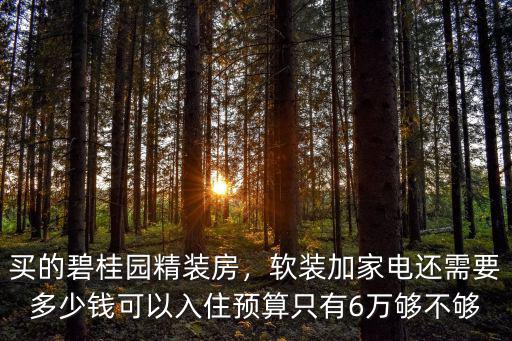 買的碧桂園精裝房，軟裝加家電還需要多少錢可以入住預(yù)算只有6萬夠不夠