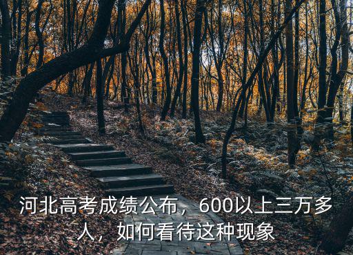 河北600以上排名多少,今年河北高考最高分多少