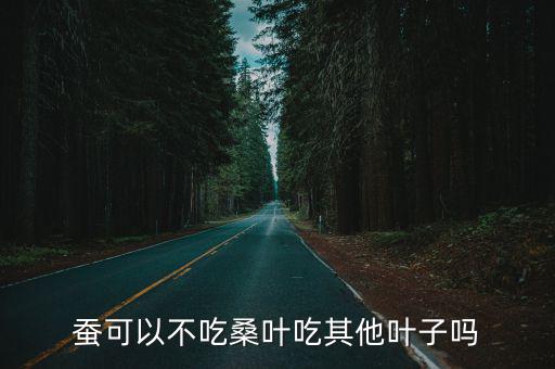 蠶可以不吃桑葉吃其他葉子嗎