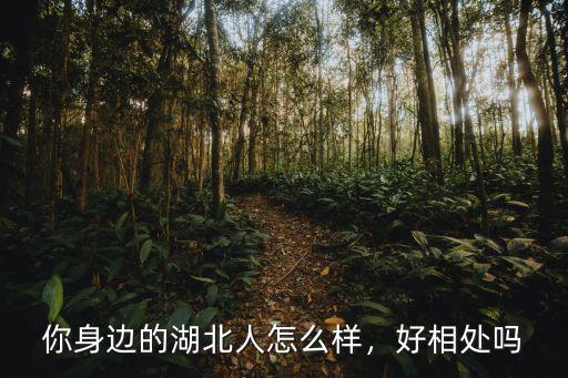 湖北人應(yīng)該怎么樣,你身邊的湖北人怎么樣