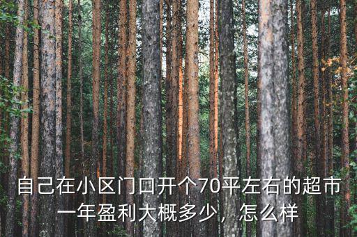 新鄉開個超市一年掙多少錢,一年能賺多少錢