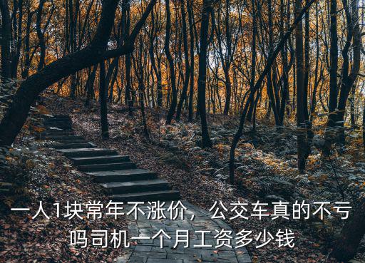 蕪湖公交司機多少錢,司機一個月工資多少錢