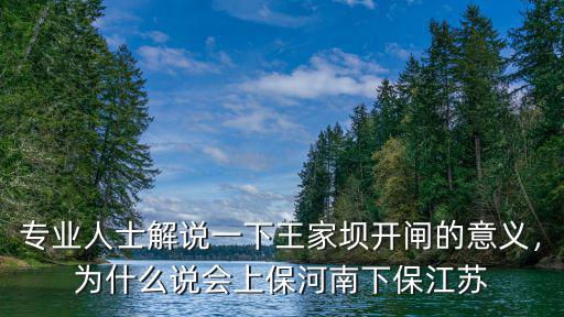 專業人士解說一下王家壩開閘的意義，為什么說會上保河南下保江蘇