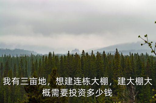 銅陵連棟大棚骨架多少錢,建大棚大概需要投資多少錢