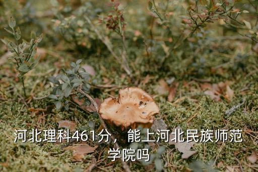 河北民族師范最低多少分能被錄取,能被河北民族師范學(xué)院錄取嗎