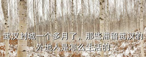 武漢封城后30萬(wàn)人怎么出去的,武漢人怎么活