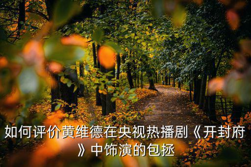 如何評價黃維德在央視熱播劇《開封府》中飾演的包拯