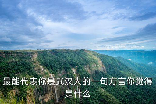 有一句話怎么說湖北人的,湖北人在你印象里怎樣的
