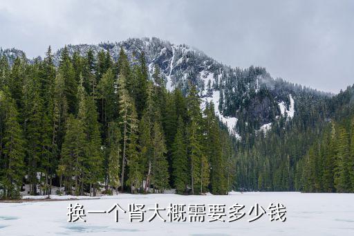 安徽省一個腎源多少錢,換一個腎大概需要多少錢