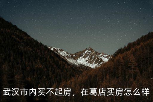 武漢市內(nèi)買不起房，在葛店買房怎么樣