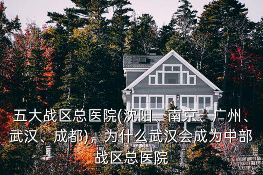 武漢中部戰區總醫院怎么掛號,五大戰區總醫院