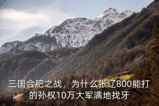 三國合肥之戰(zhàn)是多少集,三國合肥之戰(zhàn)