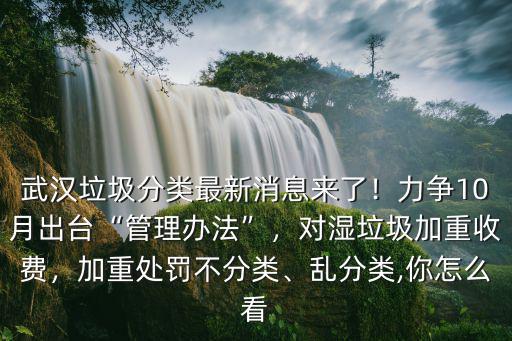 武漢垃圾分類最新消息來了！力爭10月出臺“管理辦法”，對濕垃圾加重收費，加重處罰不分類、亂分類,你怎么看