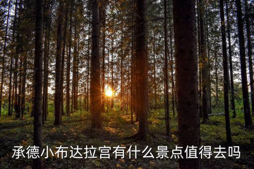 承德小布達拉宮用多少黃金,布達拉宮用了多少噸金子