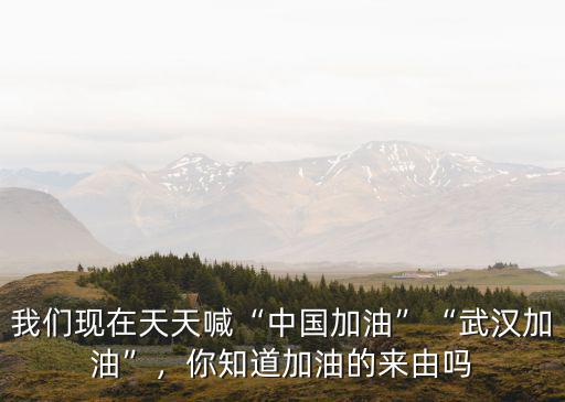 愛武漢加油 中國加油 怎么畫嘛,給中國加油嗎