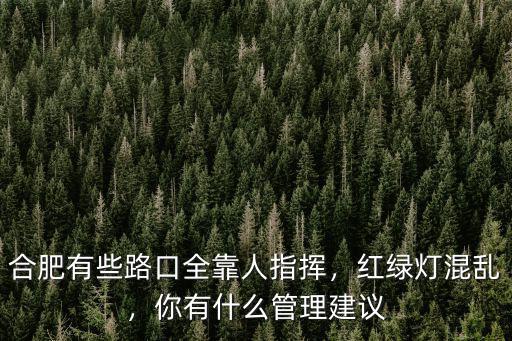 合肥路口有多少人口,合肥有些路口全靠人指揮
